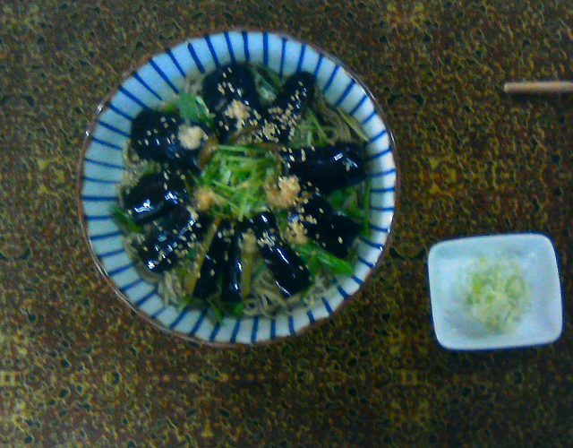 揚げなすそば 登美へようこそ